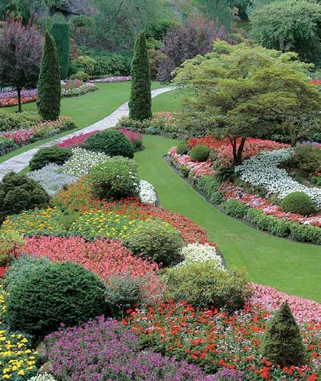 OPTIONAL SIGHTSEEING EXPERIENCES VICTORIA FROM VANCOUVER Victoria Excursion & Butchart Gardens Tour Duration 13 Hours 8:30am 9:30pm $212 PER PERSON Your travel will be onboard a comfortable tour