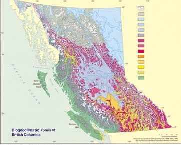 T he Mountain Hemlock Zone is one of 14 biogeoclimatic or ecological zones within British Columbia.