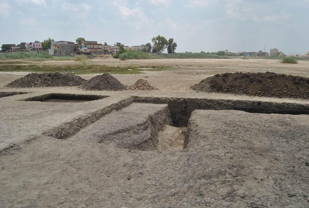 Excavation Excavations in 2014 focused on a small area in the north of the dried-up lake of Kom Ge if (Figs 2, 7 and 8).