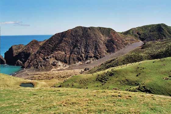 COOK STRAIT ECOLOGICAL DISTRICT PHOTO ESSAY coastal dune system This is one of very few dune systems in North Marlborough, and is peculiar in having an elongated slope of
