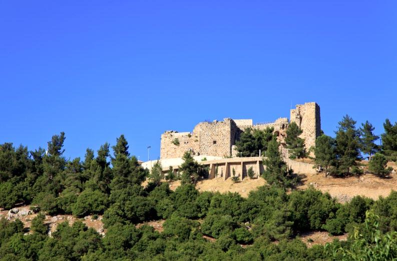 Ajloun Tour 8-Hour Transit Discover the historical significance of the city of Ajloun, where you will start your tour at the Ajloun reserve which was established in 1988 and covers 13 square