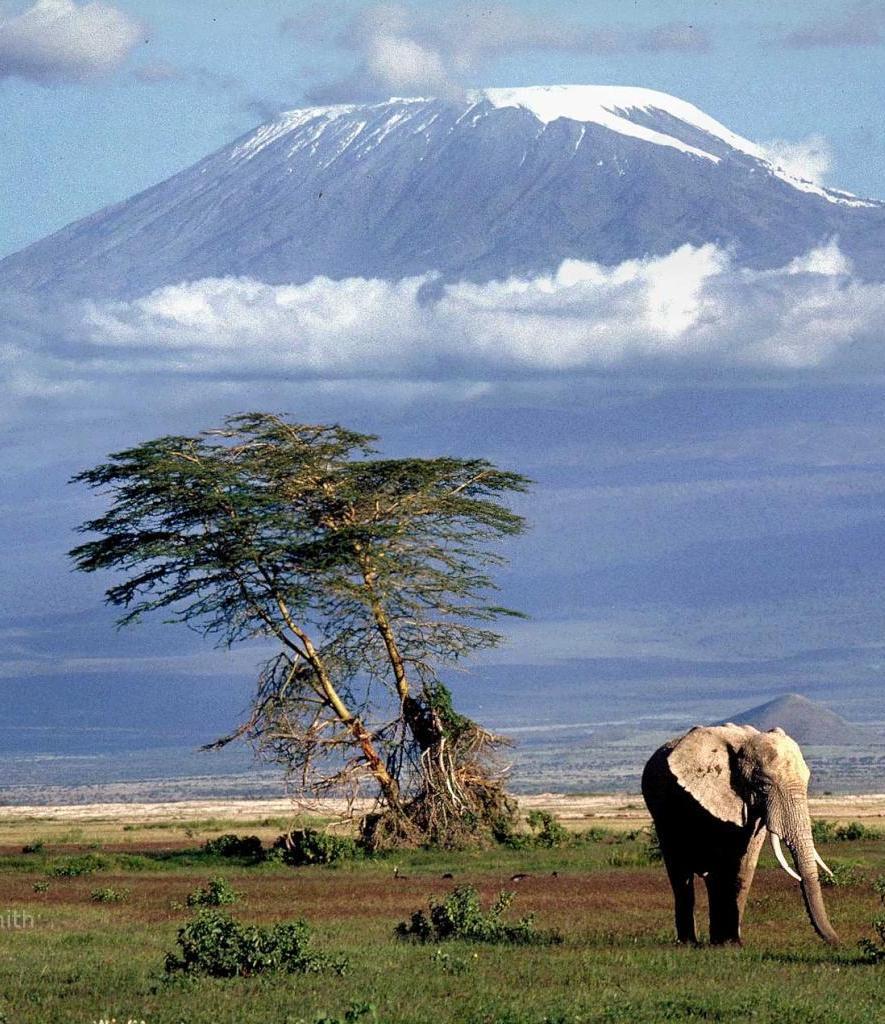 MT. KILIMANJARO SHIRA ROUTE 8 days Activities: Trekking Difficulty: Moderate to Adventurous Max Elevation: 5,895m/ 19,340 ft at summit Meal: Full board on trek