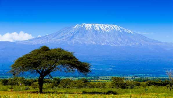 Without a doubt, climbing Mt. Kilimanjaro offers one an opportunity both to partake in an extraordinary, enriching adventure and to achieve a challenging personal goal.