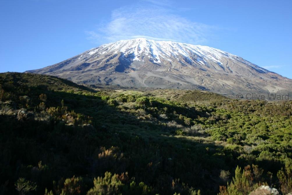 MT KILIMANJARO Choice of Rongai, Machame or Umbwe Routes Kilimanjaro C Ward Grade: Strenuous / Expedition