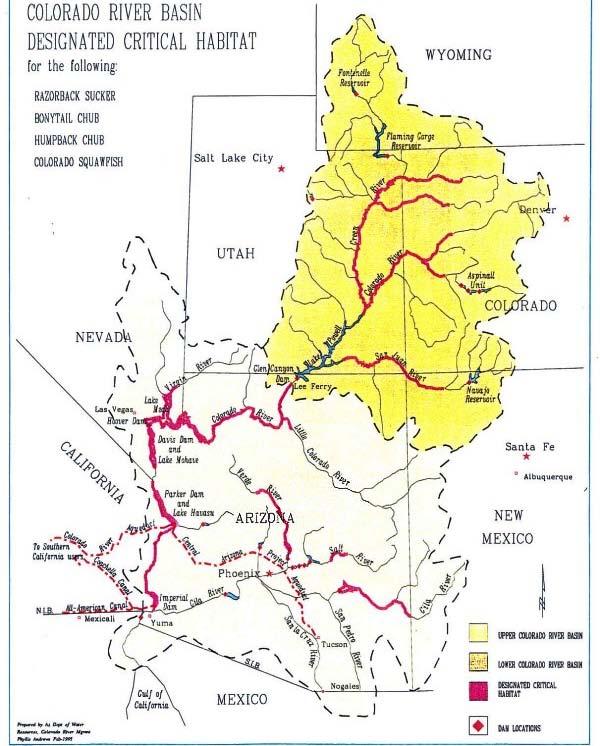 Colorado River The Wolf Law Building Challenges: