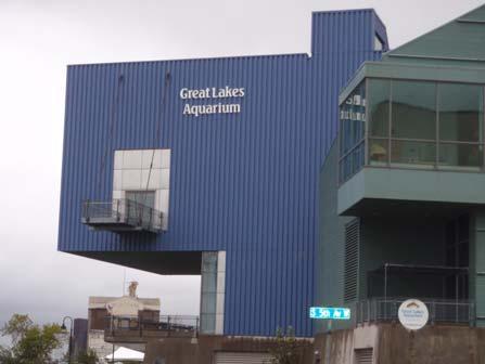 6. Great Lakes Aquarium: Is one of a few aquariums in the United States that focuses on freshwater