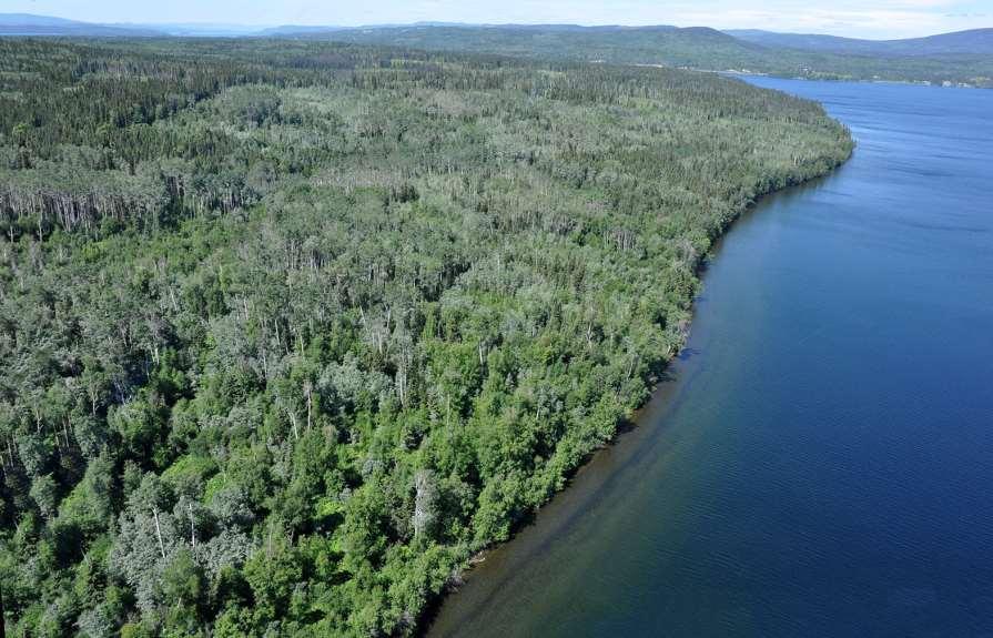 Invest in Waterfront Property Tchesinkut Lake $225,000 Total Acreage: 161 acres Private