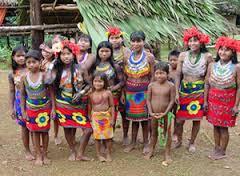 We will enjoy the view of big mangrove forests and sight heron, egrets, ibis, common black Hawks, king fishers and many other birds. We will reach a settlement home of the Embera Indians.