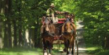 Leisure Activities Horse-drawn carriage rides in the château grounds Tourist Train in the gardens of the Château Painting or Photography workshops in the Forest Cruise on the