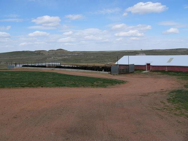 GENERAL DESCRIPTION: The ranch is a family operation currently running 600 head of mother cows, plus replacement heifers, bulls, and 12 to 20 head of horses.