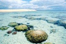 COASTAL TOURISM Chumbe Island Coral Sanctuary Chumbe Island is a privately managed nature reserve located 8 miles southwest of Zanzibar town.
