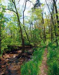 3mi+ Innsbrook s Tyrolean Hiking Trail is a great combination of the property s various terrains.