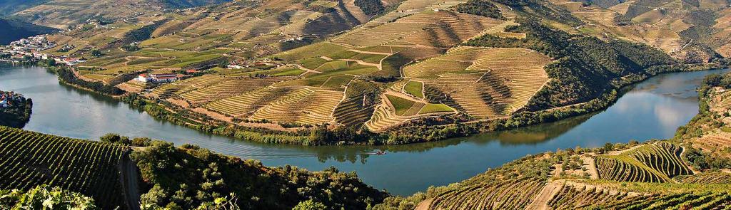 STAY 6 DAYS 5 NIGHTS Portugal - vintage For wine and wonderful landscapes amateurs we propose a magnificent stay in the North region of Portugal.