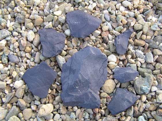 Moa gizzard stones Rounded quartz moa gizzard stones like these can be found in places far from water - a link with the