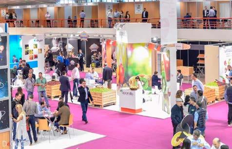 FRESKON is the largest trade show for Fruit and Vegetables held in the Balkans and South- Eastern Mediterranean.