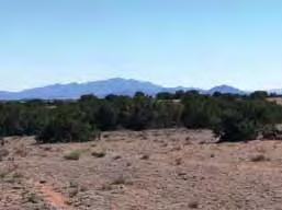 REAL ESTATE ASSET SUMMARY PHASES 1-5 Suerte del Sur Subdivision 660 Acres - Santa Fe, New Mexico Project Land Uses, Density & Amenities: Suerte del Sur has been approved for a residential subdivision