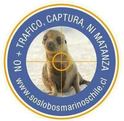 Cooperation for Conservation Campaign S.O.S Sea Lions Chile No more traffic, capture or slaughters. These are the objectives of the campaign S.O.S Sea Lions Chile, coordinated by the chilean NGO Centro Ecoceanos.