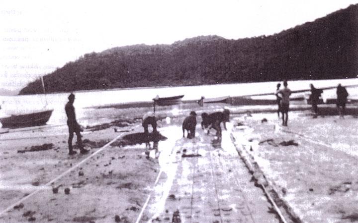 In 1983 the Maritime archaeology section of the Queensland Museum excavated the Long Island wreck site (photo above).