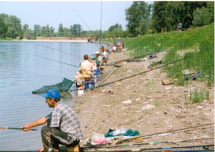 company Vode Vojvodine, Sport fishing club Bucov, Sports association of Apatin Contact person: M.