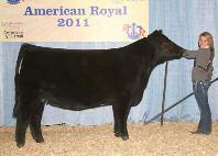 The Best of the The Big Picture! MISS GREEN VALLEY 535R AMAA COW 351931 75.