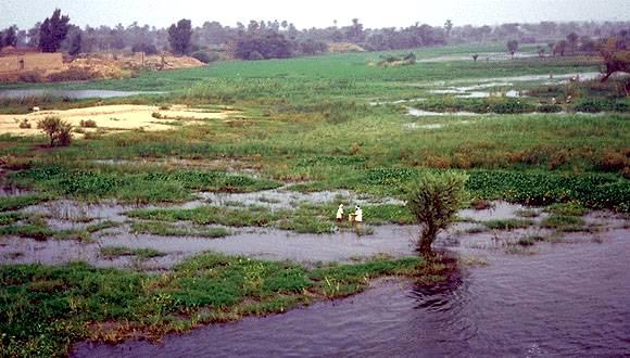 The Nile Predictable annual flooding in the spring Developed a