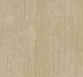 Carpet Sashay Wall Board Nightingale Warm and