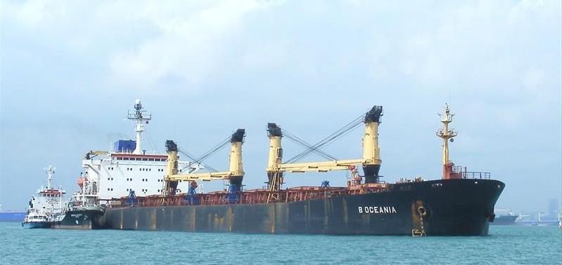 MV B Oceania Name Location Status Cargo Year Method of Survey MV B OCEANIA Ship Particulars Type Bulk Carrier LOA 230 m GRT 38337 Tons Flag Malta Incident Collision & Sinking EAST BOUND TSS 8 NM OF