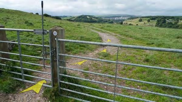 Head along the track, passing through a number of gates, and signposts with markers indicating the route of the Pennine Bridleway (which you're now following).