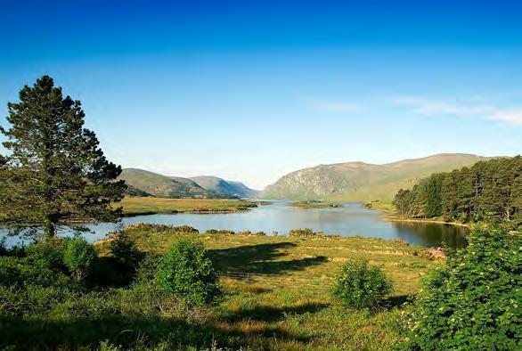 The Park was opened formally in 1986 and, from the purpose-built Visitor Centre, visitors travel by Park transport along the shores of Lough Veagh to Glenveagh Castle
