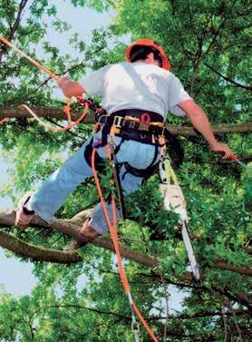 As Weaver Arborist positioning saddles are not for fall arrest, it was the flip line that caught John when the tree landed, preventing him from hitting the ground.