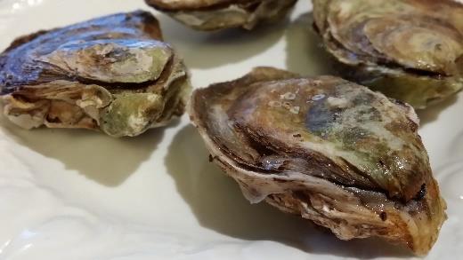 How to Use Your New HiCoup Oyster Knife You need to exert a lot of pressure to open oyster shells, so pay careful attention to the angle of the knife and