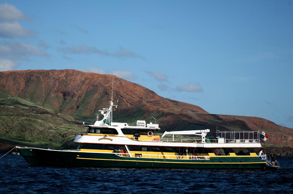 Solmar V luxury liveaboard vessel Photo by Jeronimo Seacology project on Guadalupe