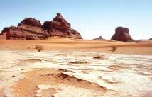 10 Life in the Deserts In Chapter 5, you have seen that water means life to plants, animals and people.