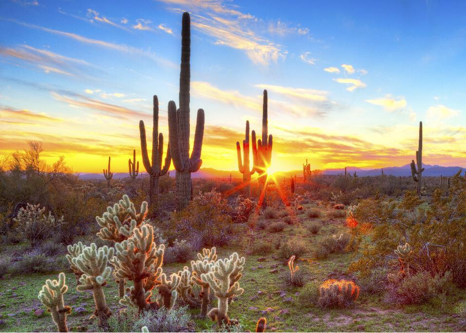 Canyon Ranch Spiritual Journey Duration: 5 days/4 nights Start: Tucson, Arizona Finish: Tucson, Arizona Price From: $5,495 pp (based on 4 people, double occupancy) Request your date for exact pricing.