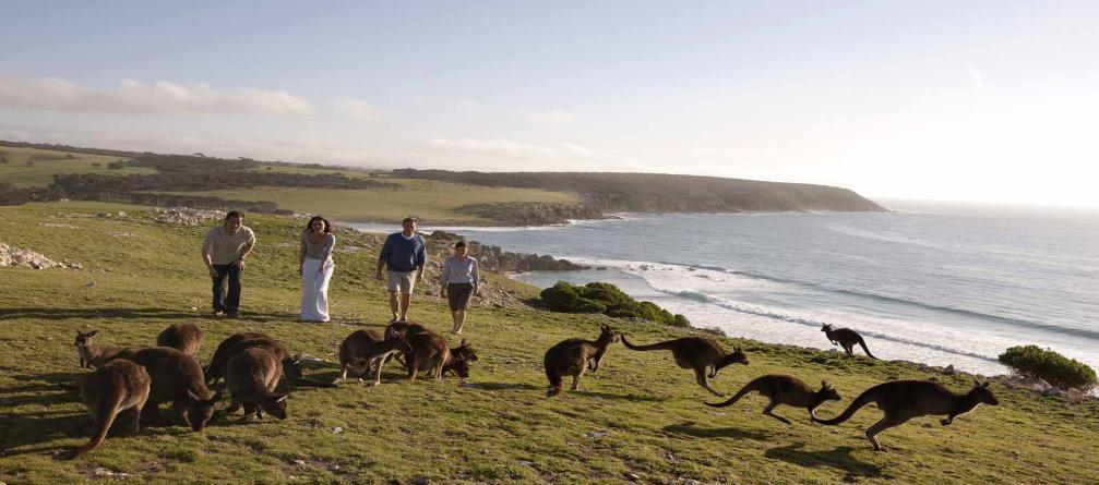 Here you can wander along the boardwalk and observe wild Australian Sea Lions. In the afternoon, enjoy time at Flinders Chase National Park.