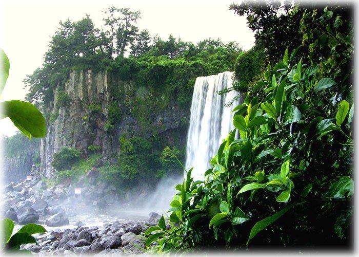 Jeongbang Waterfalls Around 23 meters high, Jeongbang Falls is the only waterfall in Asia that falls directly into the