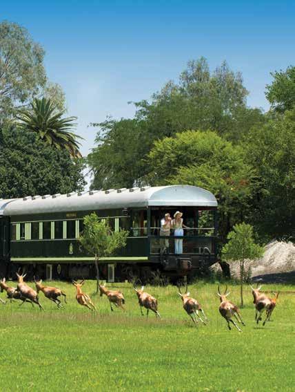 AFRICA Southern Africa Safari by River & Rail 13 days from $11,495 Limited to 18 guests Visiting South Africa (Cape Town, Rovos Rail, Johannesburg), Zimbabwe (Victoria Falls) and Botswana (Chobe
