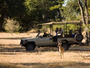 Daily game drives take place in the morning and afternoon.