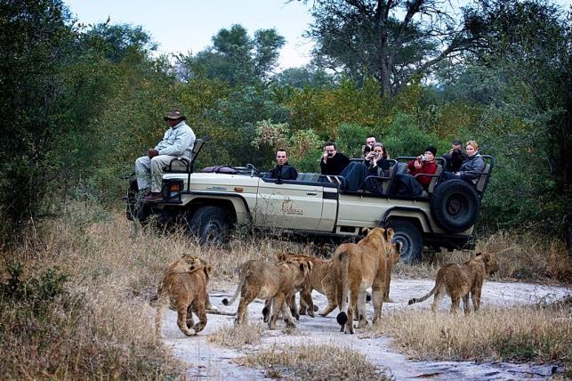 BOTSWANA CHOBE Included: Days 7 to 9 - Daily Safari Activities in Chobe Ngoma Safari