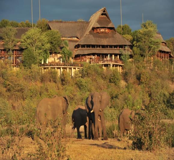 VICTORIA FALLS Victoria Falls Safari Lodge Set high on a natural plateau, the westward facing Victoria Falls Safari Lodge borders the Zambezi National Park & is just 4 km from the thundering Victoria