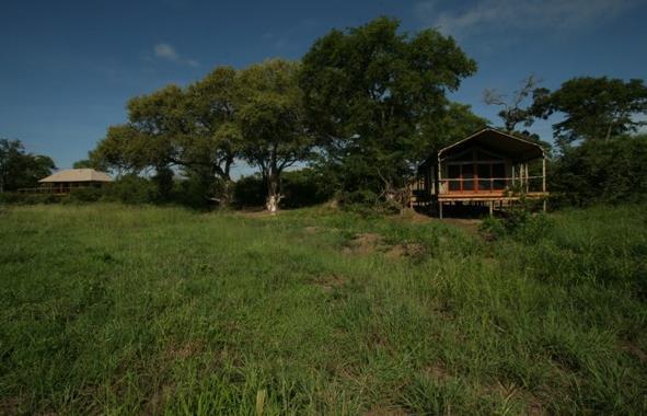 Activities: From the Sinamatella area we will do game drives and guided walks in the Kalahari sands.