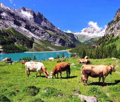 18 Happy tours 10 days Tour of the Alps 19 10 DAYS TOUR OF THE ALPS The splendour of Liechtenstein s mountain scenery. Yours to enjoy on Day 3 of the tour! Day 1: Welcome to Munich.