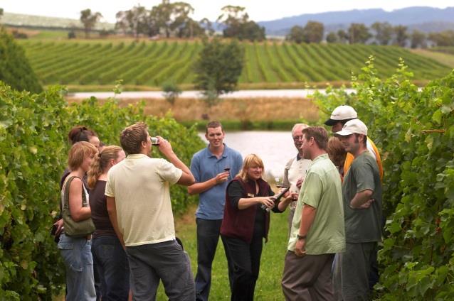 Day 9 Wednesday, January 21, 2015 Yarra Valley Wine Tour & Australian Open Yarra Valley Wine Tour Australian