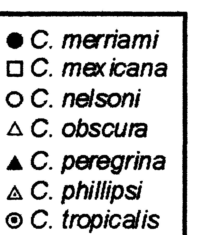 26 MONOGRAPHS OFWESTERN NORTH AMERICAN NATURALIST [No. 3 Fig. 34. Distribution of 7 species of Cryptotis in Mexico. Taxa are indicated by symbols in key. C. merriami differs from C. goodwini, C.