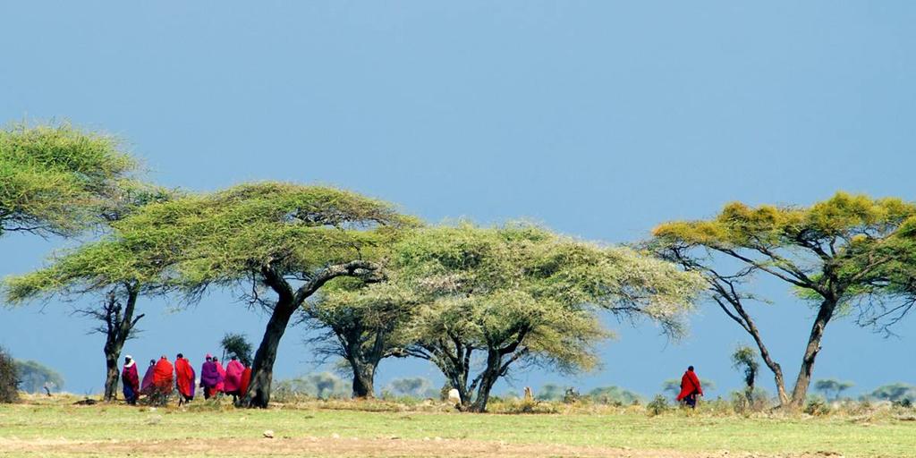 16 days Nairobi to Dar es Salaam Go wild on this game viewing adventure through the best of East Africa's reserves.
