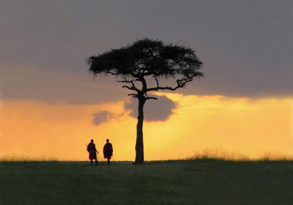 Days 37-38 : Masai Mara Day 39 : Eldoret Masai Mara - Eldoret.