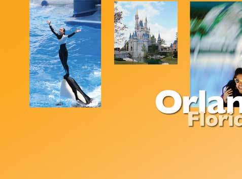 Safaris. A world of whimsy, adventure, thrills and more awaits at the Walt Disney World Resort!