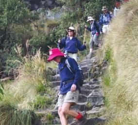 hotel, 8 nights camping welcome to World Expeditions Thank you for your interest in our Inca Rivers Trek Choquequirao to Machu Picchu trip.