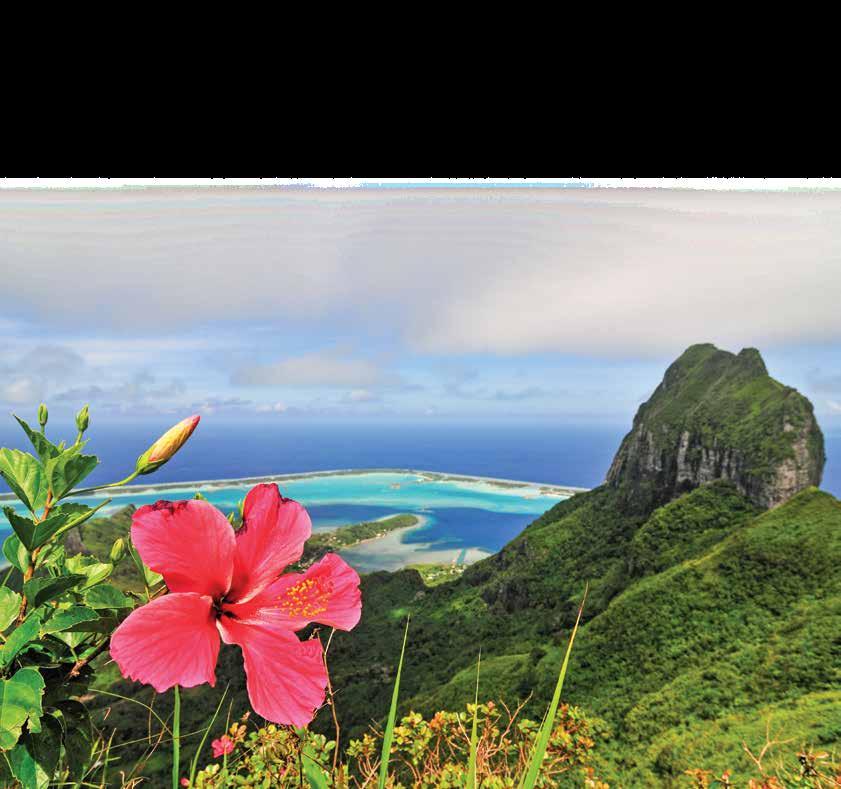 NEW FRENCH POLYNESIA: BEYOND THE POSTCARD 10 DAYS/7 NIGHTS ABOARD NATIONAL GEOGRAPHIC ORION PRICES FROM: $7,690 to $17,420 (See page 9 of ship brochure for complete prices.