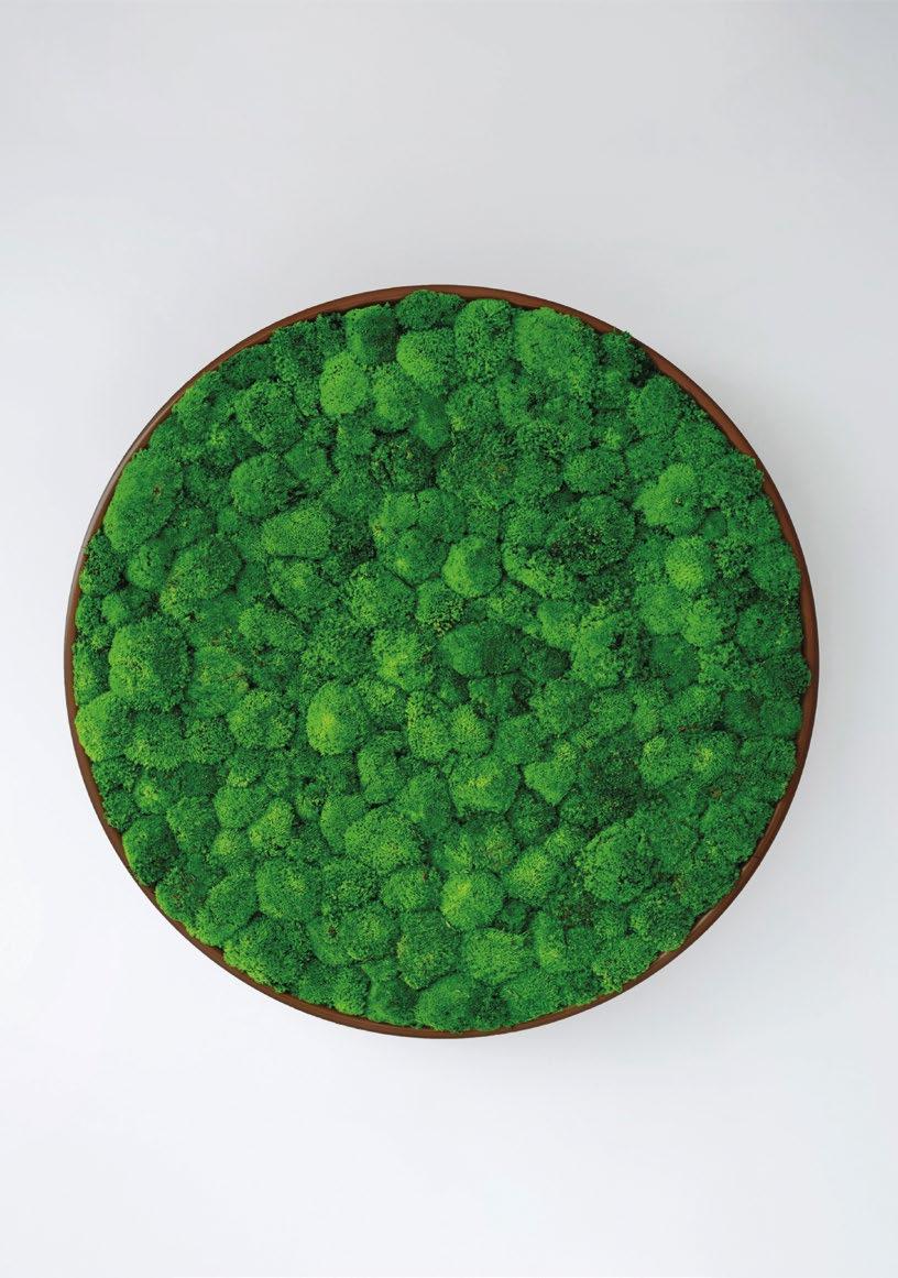 12 G Circles Moss Acoustics Circles Unit The G-Circle is a circular panel containing fully preserved natural moss and lichen.